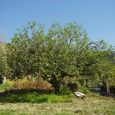Pantelios Village Daire Kateleios
