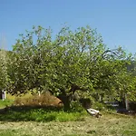 Pantelios Village Apartment Katelios